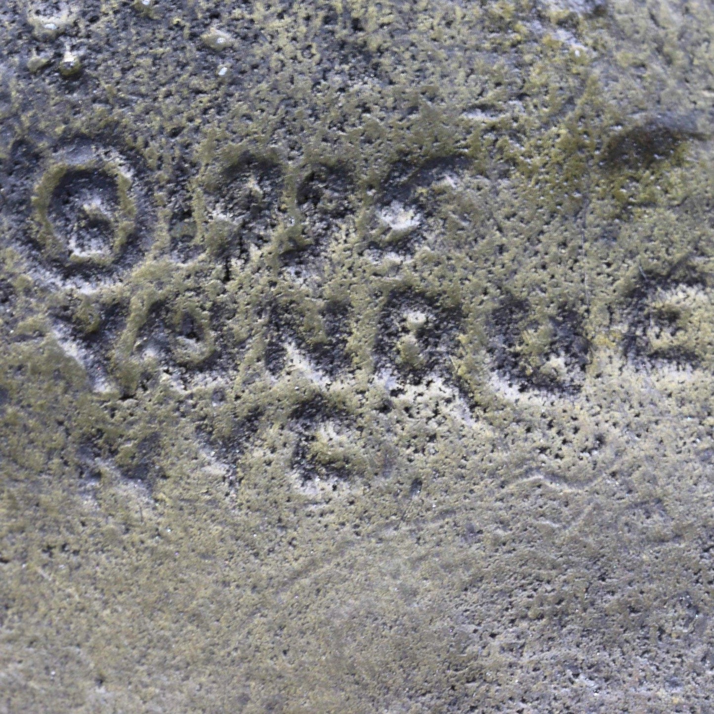 SOLD OUT: Vintage Peggy Yunque Jewelry | Bronze or Brass Greek Revival Brooch - Carmel FSJ