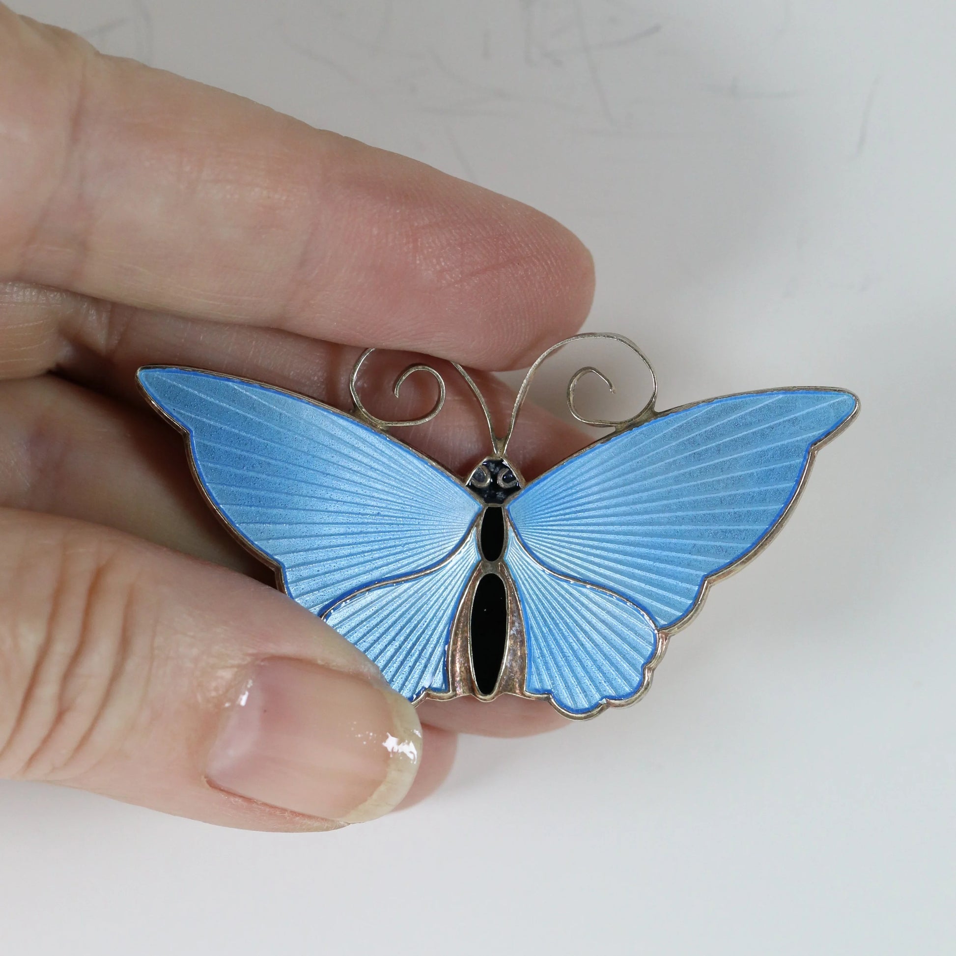 SOLD OUT: Extra Large Light Blue David Andersen Butterfly Brooch | Vintage Sterling Silver | Guilloche Enamel Mid-Century Pin - Carmel Fine Silver Jewelry